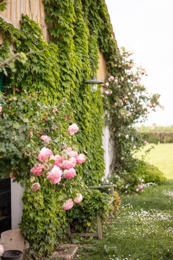 La Casa Vecchia B&B Camisano Vicentino Exterior foto
